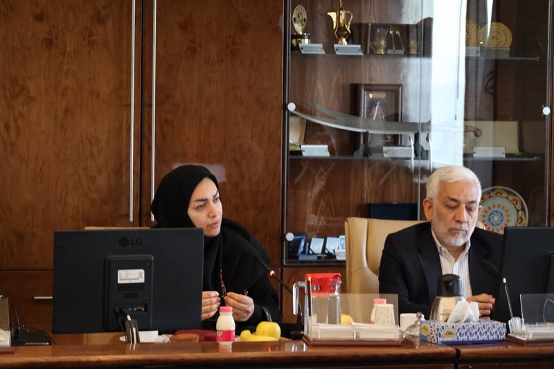 بارندگی‌های کشور 40 درصد کاهش داشت / تکلیف سازمان محیط زیست برای تنظیم برنامه تغییر اقلیم